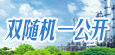 双随机一公开